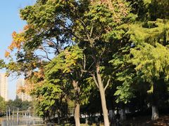 -白塘生态植物园