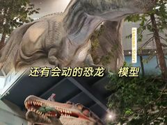 -湖南省地质博物馆