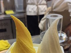 -野人先生现做冰淇淋(北京悠唐购物中心店)