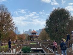 -五缘湾湿地公园