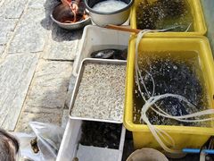 -长临河古镇福味轩土菜馆(长临河店)