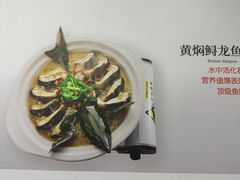 -饭怕鱼·黄焖鲟龙鱼(湖大店)