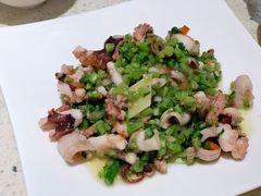 鱿鱼-阿莉餐厅(枣阳路店)