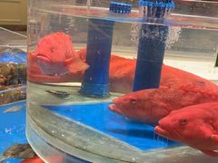 -新海渔港·胶东海鲜家常菜·家宴(奥体中心店)
