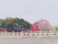-凤城河风景区