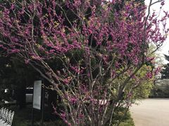 -青岛德国总督楼旧址博物馆
