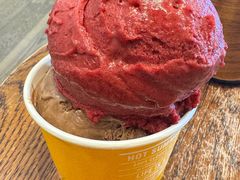 -Patagonia Chocolates(皇后镇店)