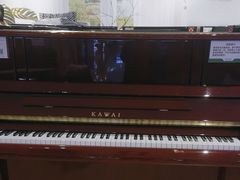 -柏斯音乐艺术中心·钢琴·吉他(世纪金源店)