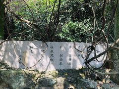 -柯岩风景区