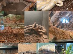 -云南野生动物园