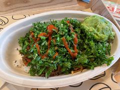 -油梨树 AVOCADO TREE(亮马桥店)