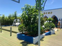 -马大胡子清真西北菜