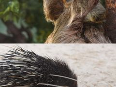 -杭州野生动物世界