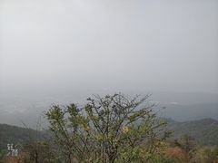-紫金山天文台