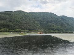 -腾冲北海湿地