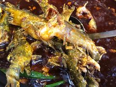 -金海椒罐罐鲢鱼(东方桂苑店)