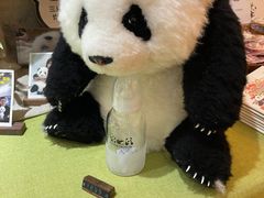 -轩客会(熊猫书店)