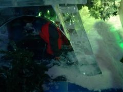 -北戴河圣蓝海洋公园