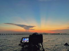 -宝安西湾红树林湿地公园