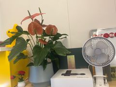 -蓉城阳光推拿馆(羊子山路店)