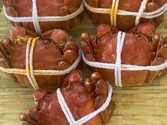 -蟹天蟹地农家菜·阳澄湖大闸蟹(浅水湾店)