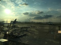 -TIAT DUTY FREE SHOP NORTH(羽田机场店)