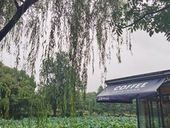 -Beans Solo豆号咖啡(百家湖花园店)