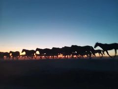 -莫日格勒旅游景区