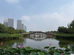 -西海子公园