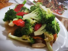 -煲来饱去冷水鱼