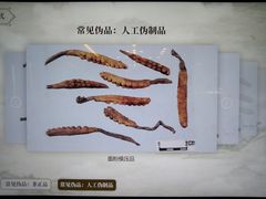 -广东中医药博物馆