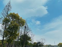 -嘉北郊野公园