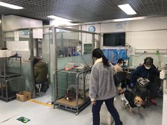 -达爱动物医院·犬猫分区·CT·复杂眼科(远洋山水分院)