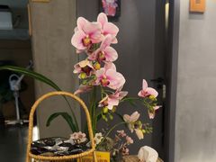 -施奈儿.洗头頭療.按摩SPA.采耳(上梅林店)