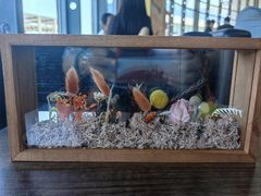 -北京之星奔驰4S店(亦庄店)