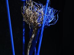 -成都许燎源现代设计艺术博物馆