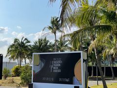 -欢乐海岸椰林沙滩-2025湾区超级灯会