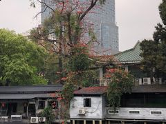 -荔湾湖公园