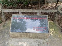 -上海佘山国家森林公园天马山园