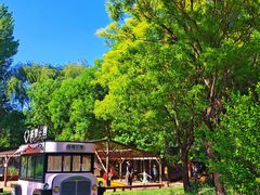-圣露庄园·露营·烤肉·亲子