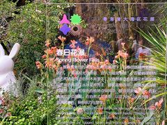 -深圳仙湖植物园