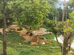 -西霞口神雕山野生动物世界