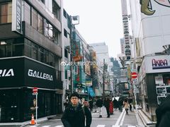 -秋叶原电器街