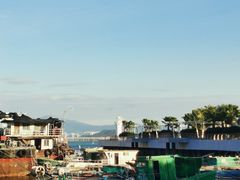 -深圳湾公园(南山区)