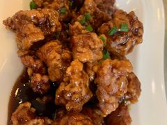 糖醋排骨-宝盛水博园大酒店·中餐厅·杭帮菜