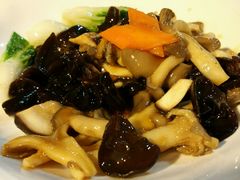 android_upload_pic-云中小雅