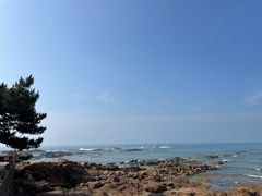 -青岛第二海水浴场