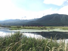 -腾冲北海湿地