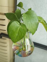 -美漾皮肤管理中心