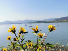 -湖畔居茶楼(湖滨店)
